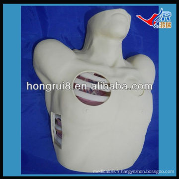 Mannequin de drainage pleural ISO, Pneumothorax Décompression, simulateur de drainage